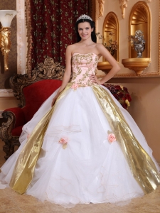 Strapless Quinceanera Dress Multi-colors Flower Embroidery