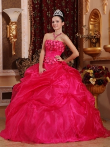 Strapless Hot Pink Pick-ups Sweet 16 Dress Appliques