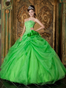 Quinceanera Dress Strapless Spring Green Beading Ball Gown