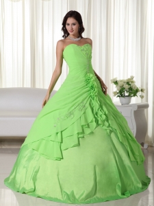 Ball Gown Sweetheart Spring Green Floor-length Quinceanera Dress