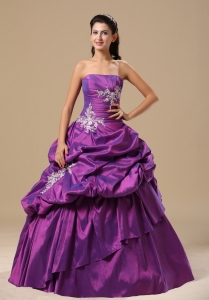 Appliques Strapless Pick-ups Purple Floor-length Ball Gowns