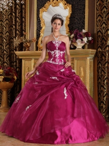 Fuchsia Quinceanera Dress Strapless Appliques Brand New