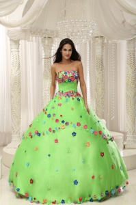 Spring Green Ball Gown 2013 Quninceaera Gown Appliques Bodice