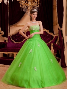 Spring Green Strapless Appliques A-line Quinceanera Dress