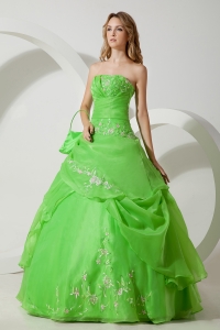 Strapless Spring Green Sweet 16 Dress with Embroidery
