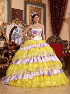 Multi-color Quinceanera Dress Sweetheart Organza Beading Ruffles