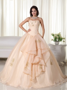 Champagne Gown Strapless Organza Embroidery Quinceanera Dress