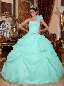 Appliques Apple Green One Shoulder Quinceanera Dress Organza