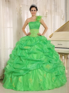 Spring Green One Shoulder Quinceaners Dress Embroidery Pick-ups