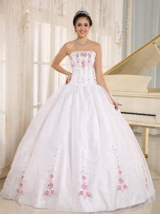 Colored Embroidery Quinceanera Dresses Custom Made 2013