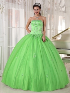 Spring Green Sweet 16 Quinceanera Dress Appliques Strapless