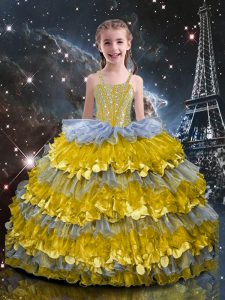 Best Straps Sleeveless Lace Up Little Girls Pageant Gowns Multi-color Organza
