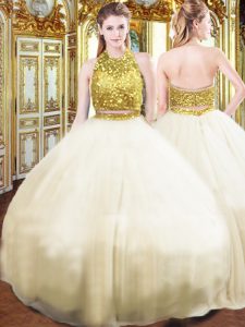 Sleeveless Tulle Floor Length Zipper Quinceanera Gowns in Champagne with Beading