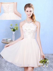 Baby Pink Empire Lace Vestidos de Damas Lace Up Chiffon Sleeveless Knee Length