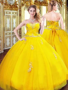 Sweetheart Sleeveless Organza Sweet 16 Dress Beading and Appliques Lace Up