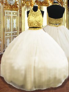 Attractive Champagne Sleeveless Tulle Zipper Quince Ball Gowns for Military Ball and Sweet 16 and Quinceanera