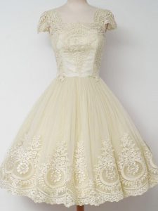 Light Yellow Zipper Square Lace Dama Dress for Quinceanera Tulle Cap Sleeves
