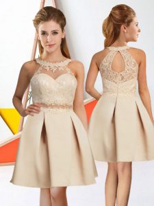 Delicate Halter Top Sleeveless Chiffon Quinceanera Court of Honor Dress Lace Zipper