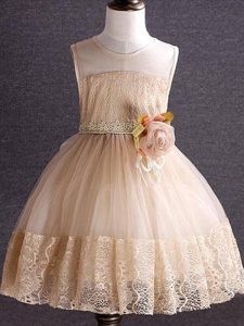 Ball Gowns Little Girl Pageant Dress Champagne Scoop Tulle Sleeveless Knee Length Zipper