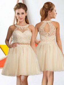 Dramatic Sleeveless Zipper Knee Length Lace Quinceanera Court Dresses