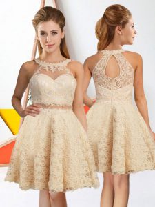 Low Price A-line Dama Dress Champagne Halter Top Lace Sleeveless Knee Length Zipper