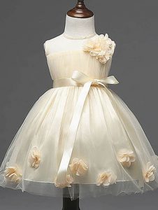 Sleeveless Tulle Knee Length Zipper Pageant Dress Toddler in Champagne with Hand Made Flower