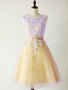 Modest Gold Sleeveless Tulle Lace Up Quinceanera Dama Dress for Prom and Party and Wedding Party