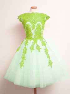 Nice Tulle Lace Up Quinceanera Dama Dress Sleeveless Mini Length Appliques