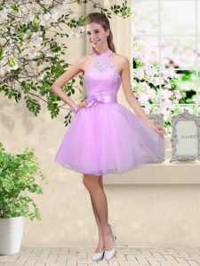 Knee Length Lavender Dama Dress Tulle Sleeveless Lace and Belt