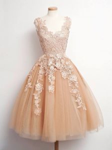 Sleeveless Lace Lace Up Quinceanera Court Dresses