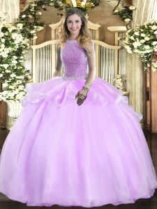 Organza Sleeveless Floor Length Quinceanera Gowns and Beading