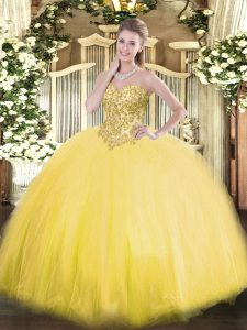 Admirable Sleeveless Lace Up Floor Length Appliques Sweet 16 Dresses