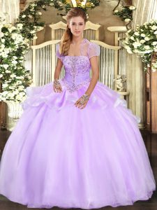 Exquisite Floor Length Lavender 15 Quinceanera Dress Organza Sleeveless Appliques
