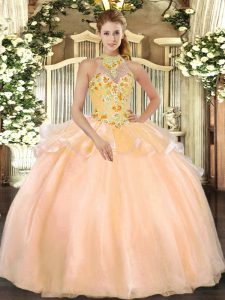 Sleeveless Lace Up Floor Length Embroidery Sweet 16 Quinceanera Dress