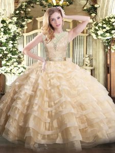 Smart Organza Sleeveless Floor Length Quince Ball Gowns and Lace and Ruffled Layers