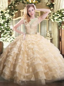 Smart Organza Sleeveless Floor Length Quince Ball Gowns and Lace and Ruffled Layers