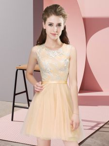Trendy Champagne Side Zipper Quinceanera Court Dresses Lace Sleeveless Mini Length