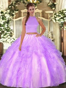 Fancy Organza Sleeveless Floor Length Quince Ball Gowns and Beading and Ruffles