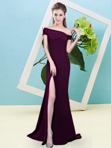 Designer Sleeveless Ruching Zipper Dama Dress