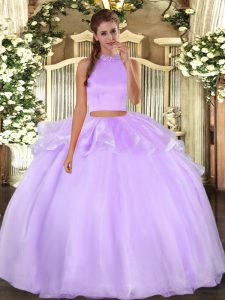 Exceptional Organza Sleeveless Floor Length 15th Birthday Dress and Beading