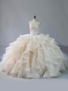 Admirable Organza Sleeveless Ball Gown Prom Dress Brush Train and Beading and Ruffles