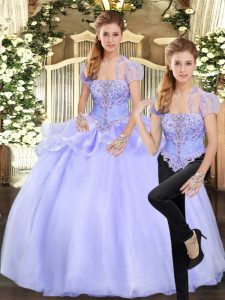 Luxurious Lavender Sleeveless Beading and Appliques Floor Length Quinceanera Dresses
