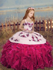 Sleeveless Embroidery and Ruffles Lace Up Little Girl Pageant Dress
