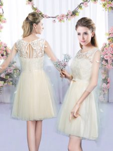 Dynamic Champagne Sleeveless Tulle Lace Up Quinceanera Court Dresses for Wedding Party
