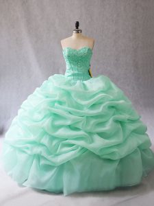 Traditional Ball Gowns 15 Quinceanera Dress Apple Green Sweetheart Organza Sleeveless Floor Length Lace Up