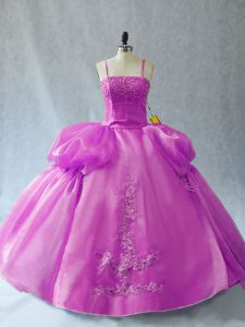 Flirting Floor Length Ball Gowns Sleeveless Lilac 15 Quinceanera Dress Lace Up
