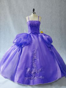 Extravagant Organza Sleeveless Floor Length Quinceanera Dress and Appliques