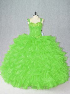 Wonderful Sleeveless Organza Side Zipper Sweet 16 Dresses for Sweet 16 and Quinceanera