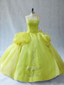 Delicate Ball Gowns Quinceanera Gowns Yellow Green Straps Organza Sleeveless Floor Length Lace Up