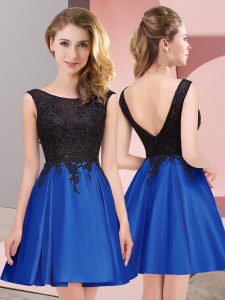 Sleeveless Lace Zipper Dama Dress